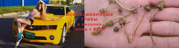 ALPHA PVP Кодинск