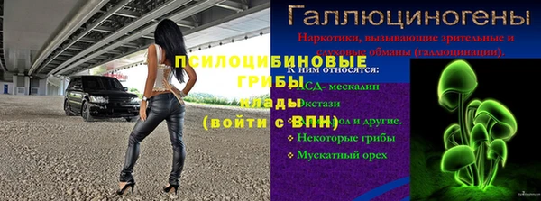 прущий лед Касимов