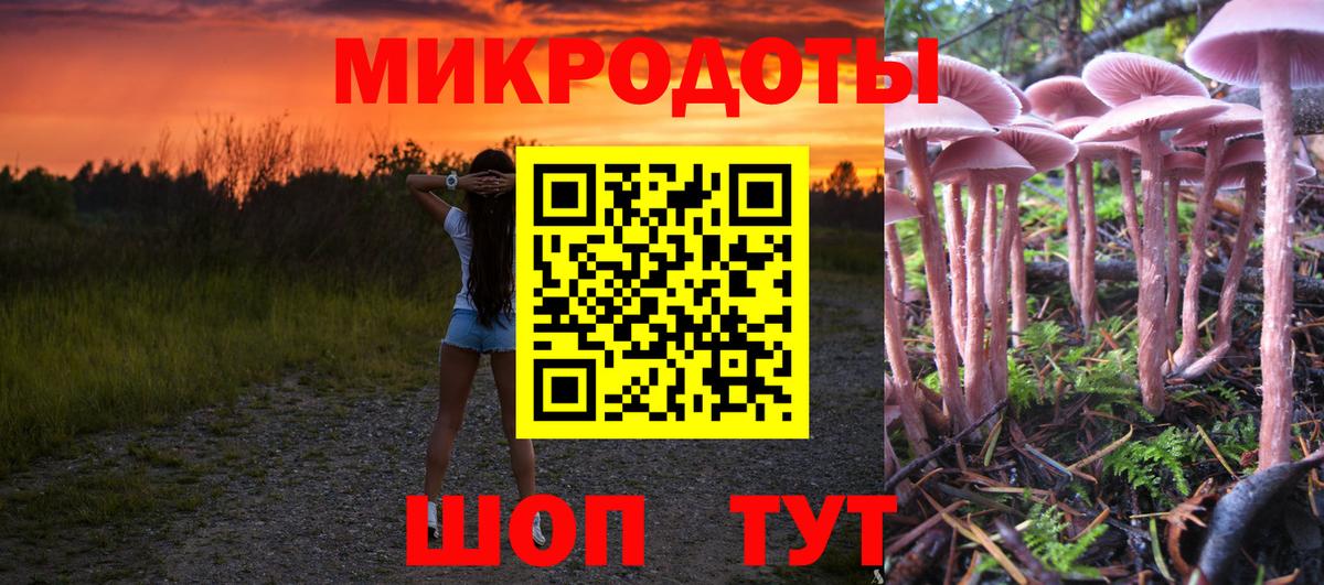 Галлюциногенные грибы Psilocybe Лиски
