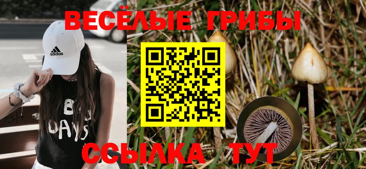 где купить наркотик  Псилоцибиновые грибы Cubensis  Вход с VPN  Лиски 