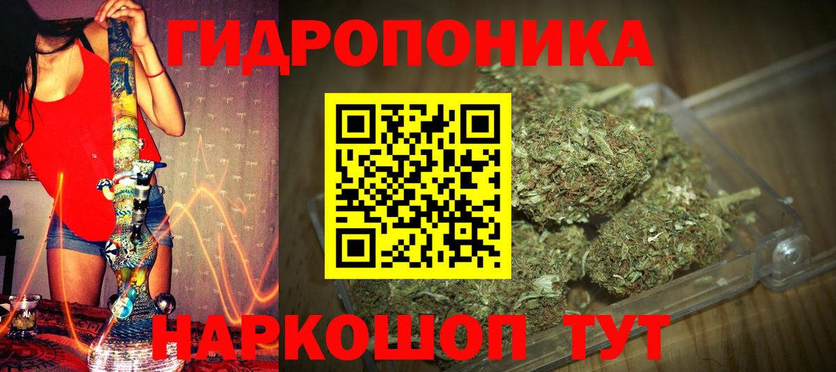 Каннабис планчик  Вход с VPN  Шишки марихуана тримм  Лиски  МАРИХУАНА гибрид 